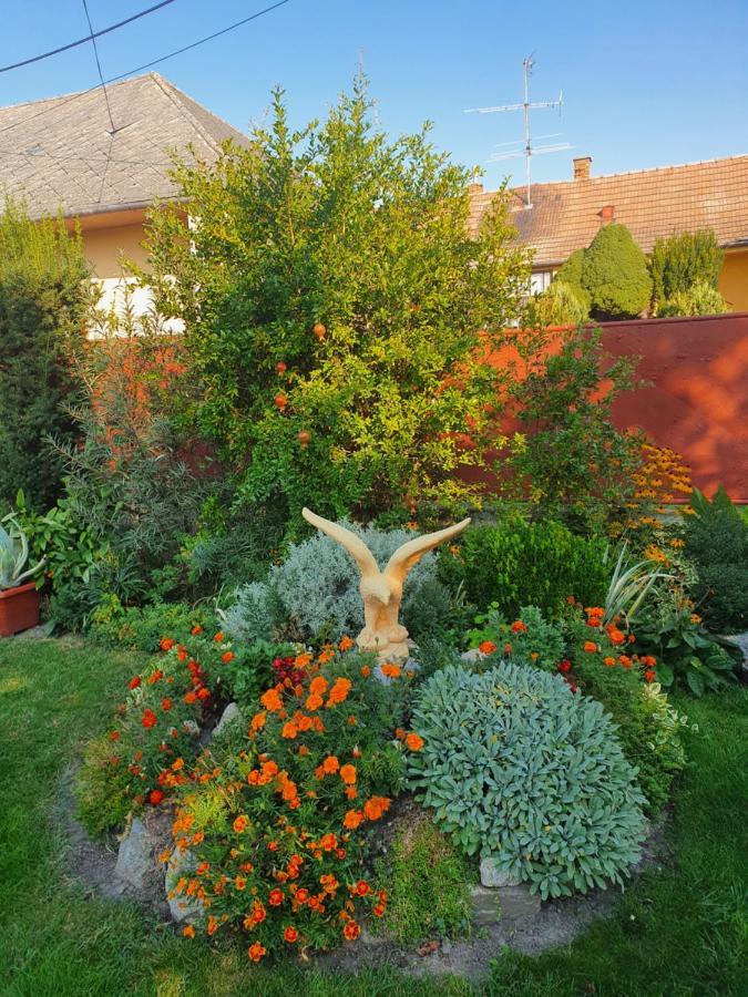 Апартаменты Privat U Jozefa Foeldesa Вельки-Медер Экстерьер фото